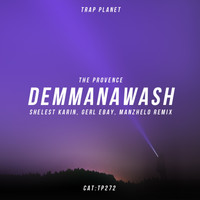 The Provence - DEMMANAWASH (Shelest Karin, Gerl Ebay, Manzhelo Remix)