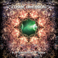 Cosmic Dimension - In A Special Kind Of Space
