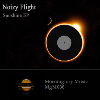 Noizy Flight - Sunshine