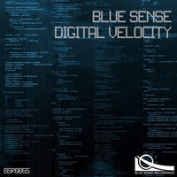 Blue Sense - Digital Velocity