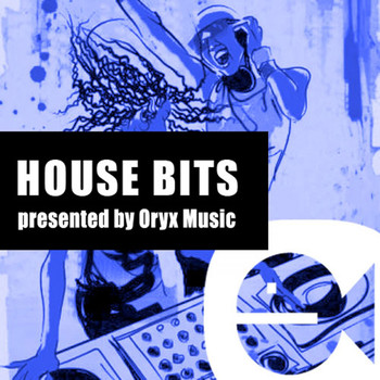 Various Artists - House Bits 13