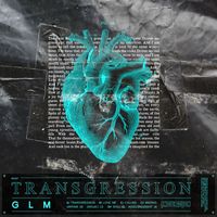 GLM - Transgression