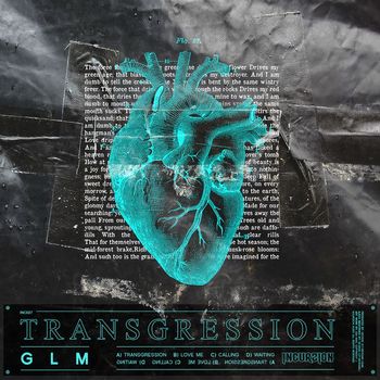 GLM - Transgression