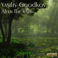 Vasiliy GooDKov - After The Rain