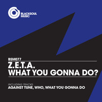 Z.e.t.a. - What You Gonna Do?