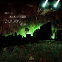 Toast Face - Imaginary Picture (Joshua Casper Remix)