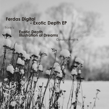Ferdas Digital - Exotic Depth EP