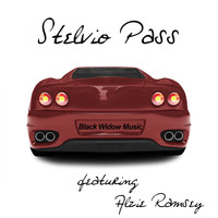 Alzie Ramsey - Stelvio Pass