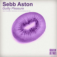 Sebb Aston - Guilty Pleasure