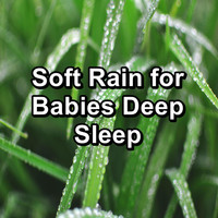 Rain Sounds for Sleep - Soft Rain for Babies Deep Sleep