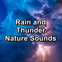Rain Storm & Thunder Sounds - Rain and Thunder Nature Sounds