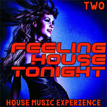 Various Artists - Feeling House Tonight, Two (All Night House Music Sessions)