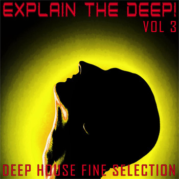 Various Artists - Explain The Deep! 3 (Deep House FIne Selection)