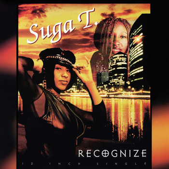 Suga T - Recognize