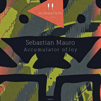 Sebastian Mauro - Accumulator of Joy