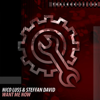 Nico Luss & Steffan David - Want Me Now