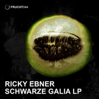 Ricky Ebner - Schwarze Galia LP