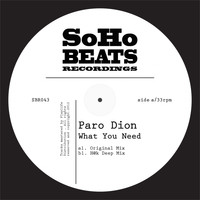 Paro Dion - What You Need