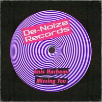Anis Hachemi - Missing You