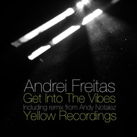 Andrei Freitas - Get Into The Vibes