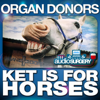 Organ Donors - Ket Is for Horses