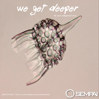 Various Artists - We Get Deeper