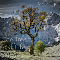 Most Eye / - The Tree of Life