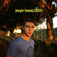 Saul D'Alessandro - Jungle Sound (Remastered 2K20) (Explicit)