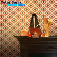 Peter Burns - Hearth Alive
