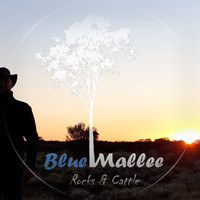 BLUE MALLEE / - Rocks & Cattle