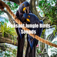 Nature Bird Sounds - Pleasant Jungle Birds Sounds
