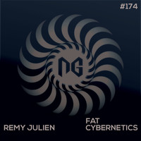 Remy Julien - Fat Cybernetics