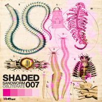Shaded - Sandworm / Obliterate