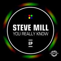 Steve Mill - You Really Know