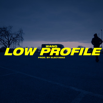 Wang & Electabaz - Low Profile (Explicit)