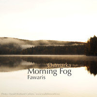 Fawaris - Østmarka - Morning Fog