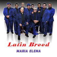 Latin Breed - Maria Elena