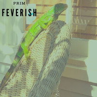 PRIM - Feverish
