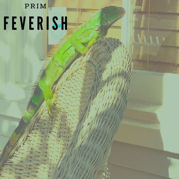 PRIM - Feverish