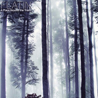 FLATIN - A Place Beyond the Trees