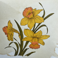 valjien - Daffodils