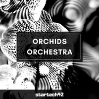startech42 - Orchids Orchestra