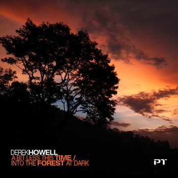 Derek Howell - A Bit Less This Time / Into The Forest At Night