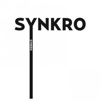 Synkro - Everyday