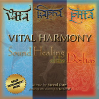 Yuval Ron featuring Jai Uttal - Vital Harmony: Sound Healing of the Doshas