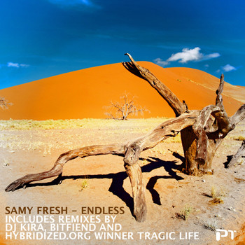 Samy Fresh - Endless