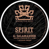 Spirit - Salamander / Holding Back