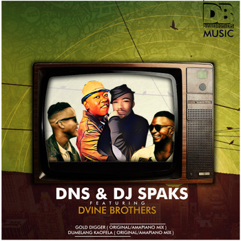 Dns & Dj Sparks feat Dvine Brothers - Gold Digger