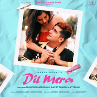 Yasser Desai - Dil Mera