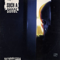 Such A Surge - Agoraphobic Notes